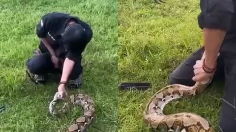 现实版许仙遇险