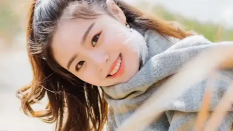 中国智驾芯片