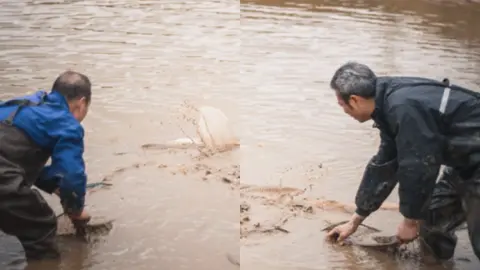 河道惊现巨型神秘黑影