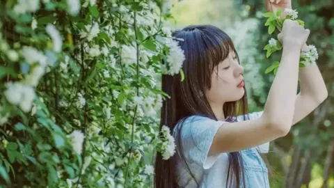 偶遇野生大熊猫
