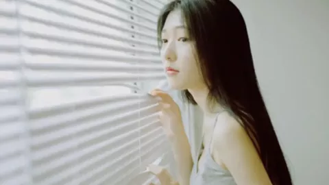 白玉兰奖获奖名单
