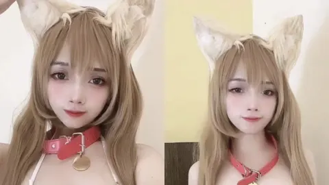黄豆粉猫耳娘视频