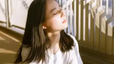 名贵猫崽被遗弃