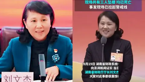 厅长刘文杰被扔下楼