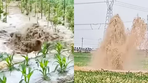 山村诡异异象