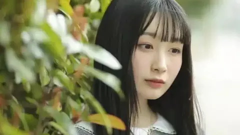 美加墨世界杯