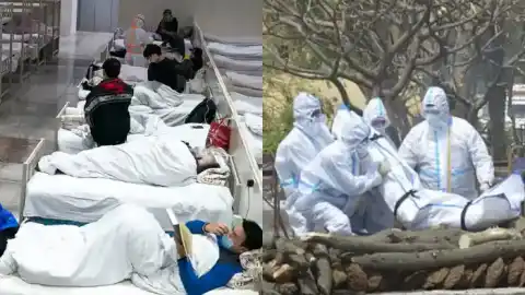 新冠期间活人被抓走