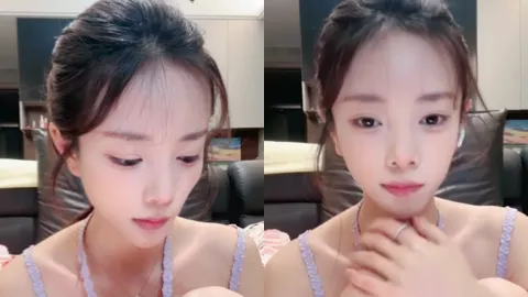 彩色的小熊宝宝