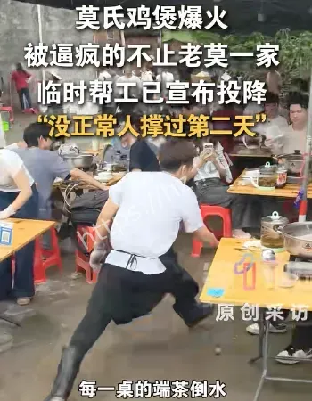 莫氏鸡煲爆火