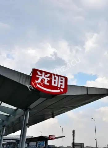 海外投资失控