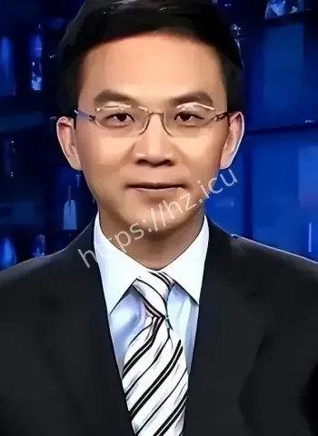 央视主持人沦阶下囚