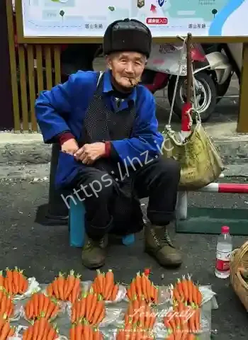卖胡萝卜的大爷走红