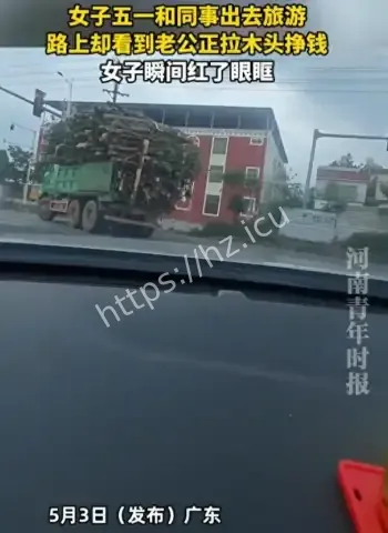 老公拉木头挣钱