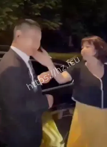 女霸王殴打司机