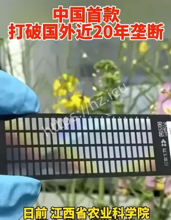 打破国外垄断