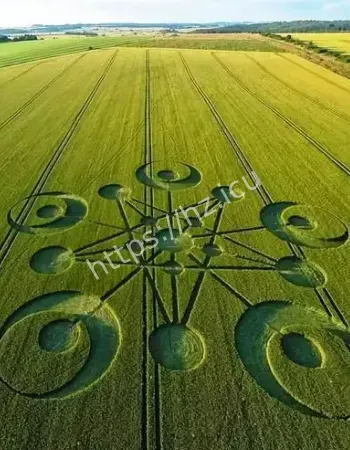 世纪悬案