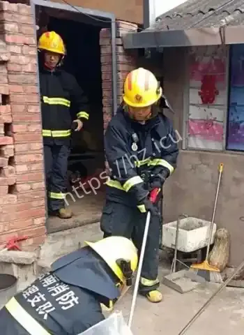 眼镜王蛇频繁出没