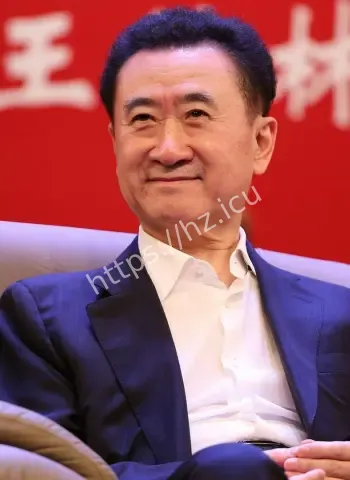 王健林被强制执行