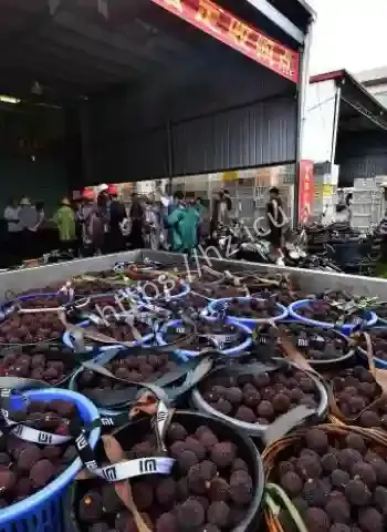 泡药杨梅事件