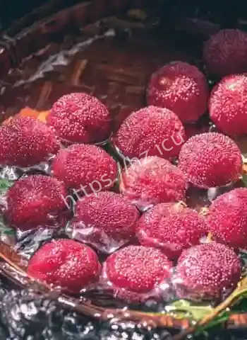 泡药杨梅被封杀