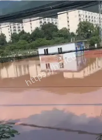 大暴雨特色鱼被冲光