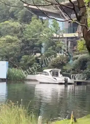 天价别墅拍卖流拍