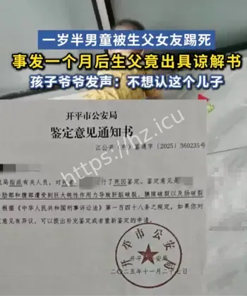 生父女友踢打幼童案