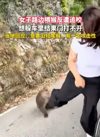女子路边喂猴惨遭追咬