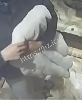 上海豪宅失窃名包