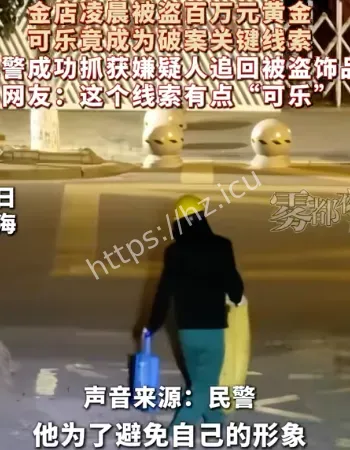 男子偷走百万黄金