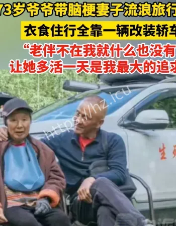 老人带偏瘫妻子自驾游