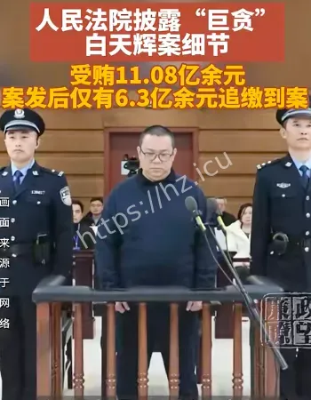巨贪白天辉