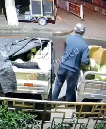 西瓜大盗午夜作案