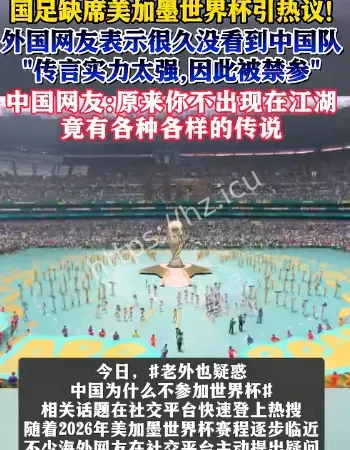 这届世界杯有点太政治了