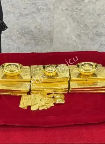 最大黄金盗窃案告破