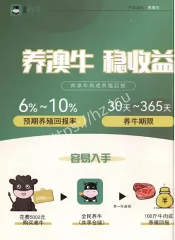 投资款变6万斤牛肉