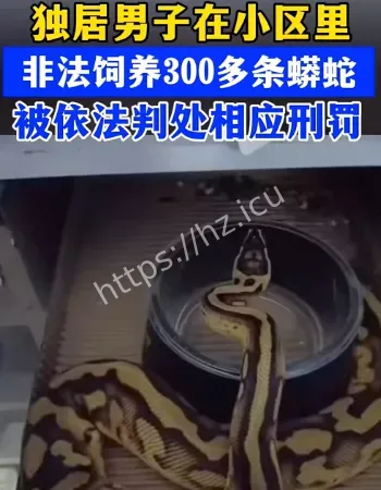 小区里养蟒蛇