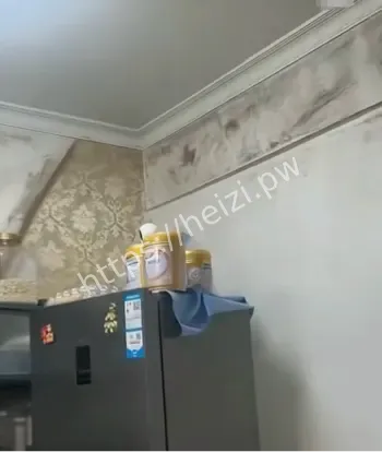 深圳租客全家生病查出全屋发霉
