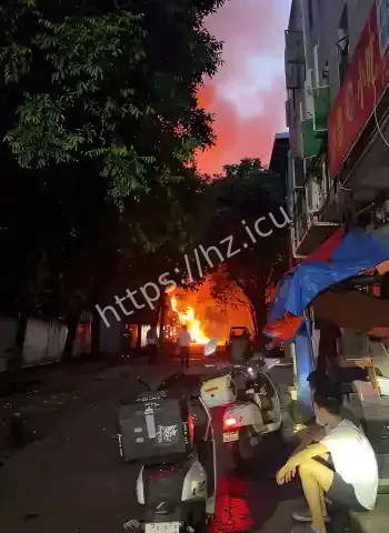 东莞塘厦莲湖突发火灾