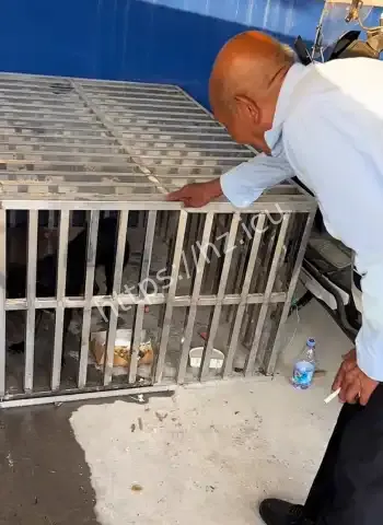 老人投喂下水道小狗
