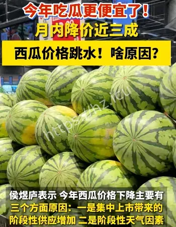 西瓜价格大跳水
