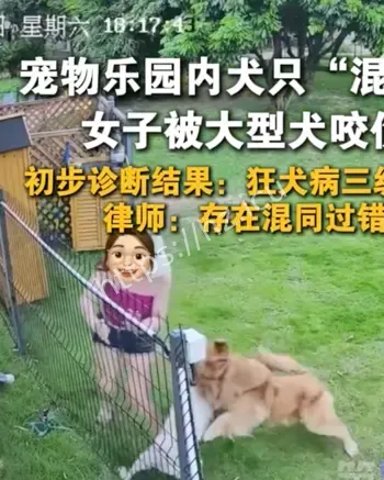 深圳宠物乐园大狗撕咬游客
