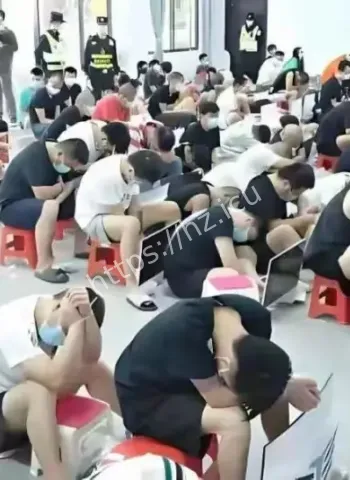 东南亚电诈明码标价