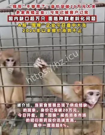 20万一只猴