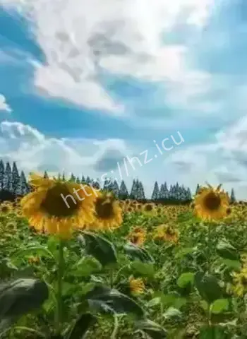 中国机器人疯了